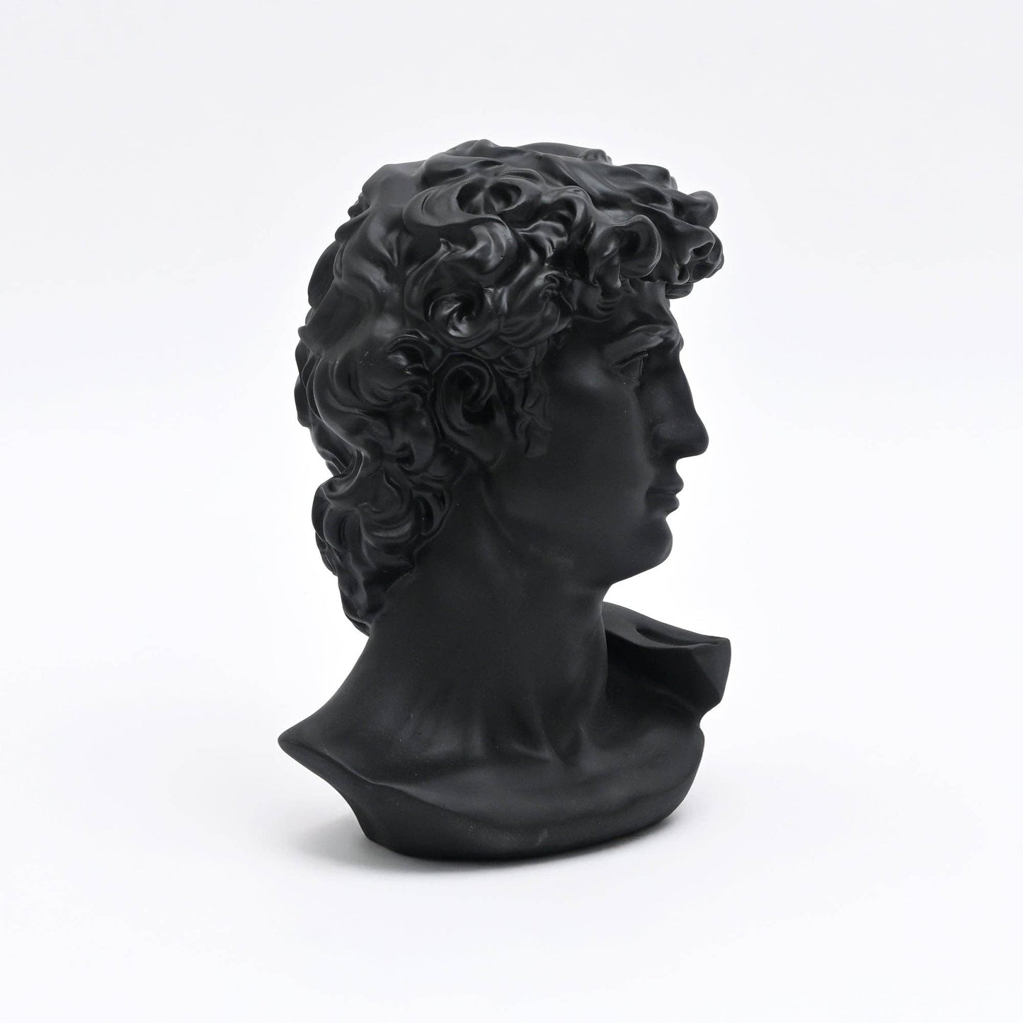 Black Monochrome Classical Bust Sculpture in Matte Resin