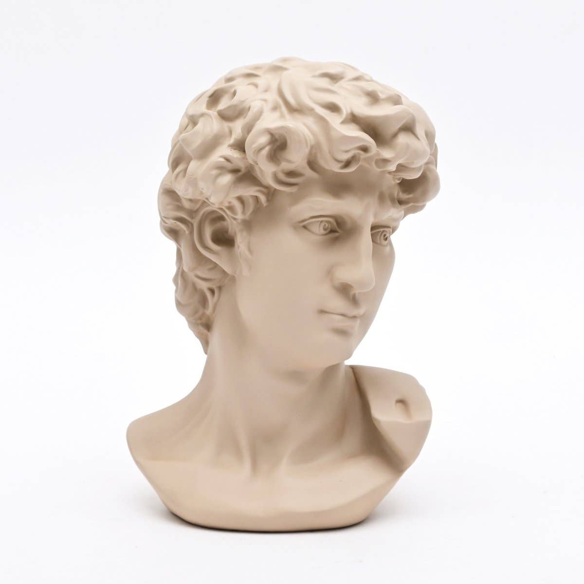Beige Monochrome - Classical Bust Sculpture