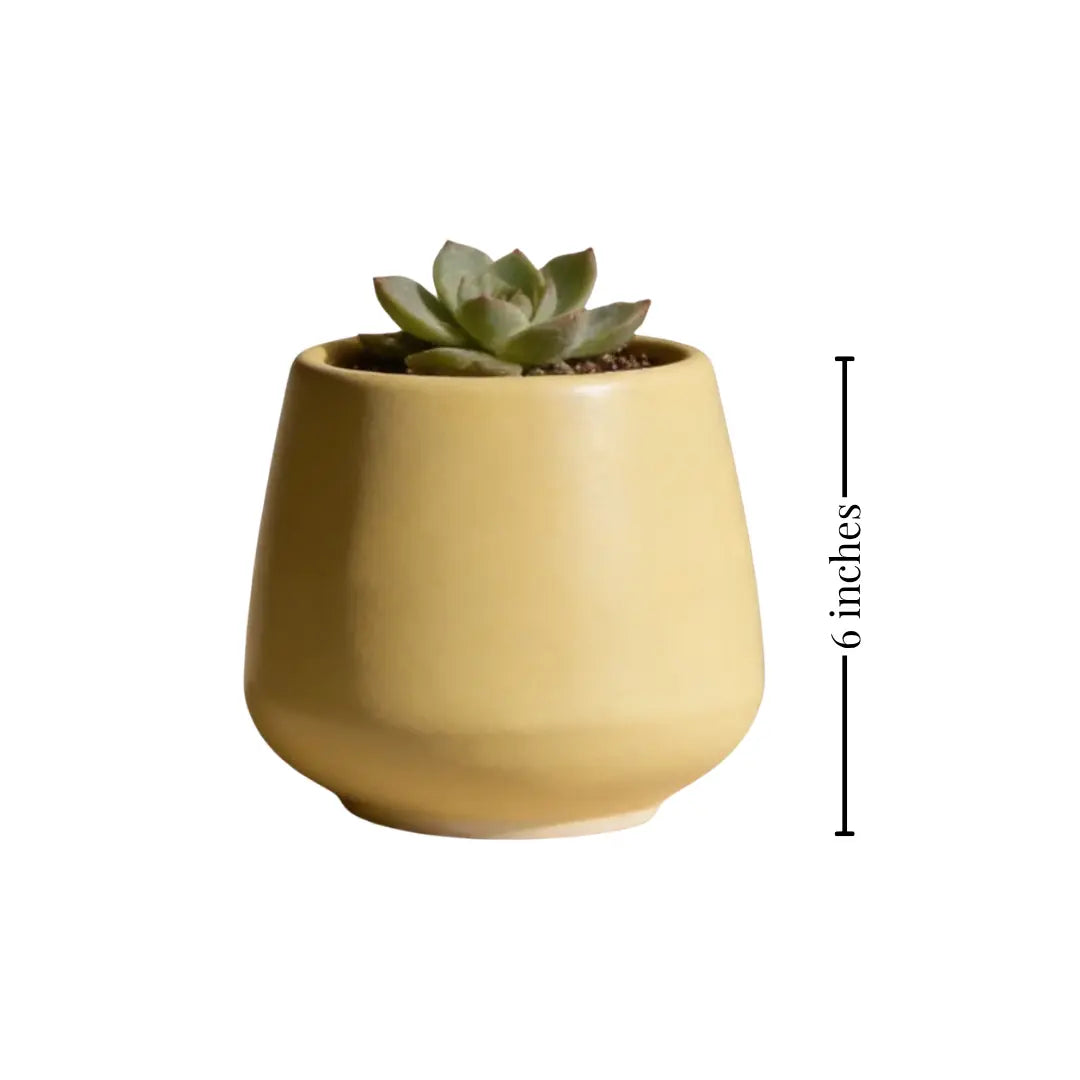 Stoneware Yellow Planter | Small