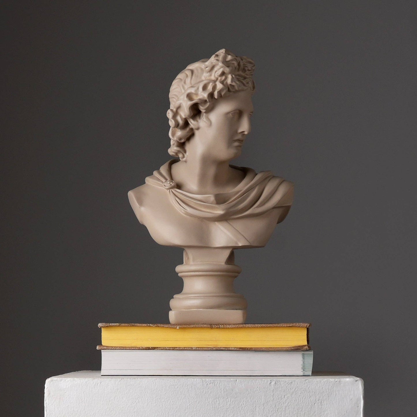 Beige Classical Greco-Roman Bust Sculpture – Resin Decorative Accent, 18.8 x 14 x 30 cm