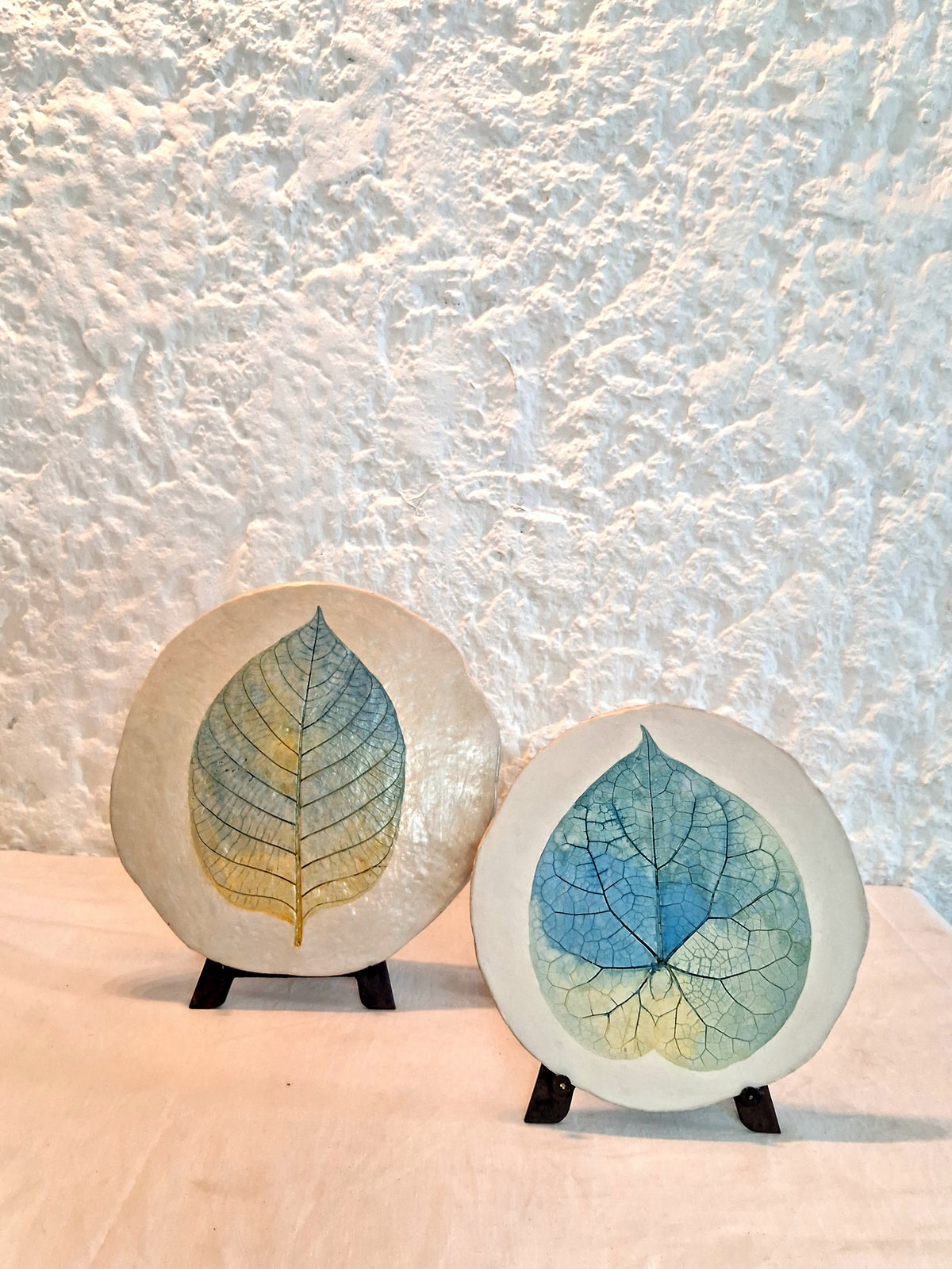 Aranya Earthcraft
