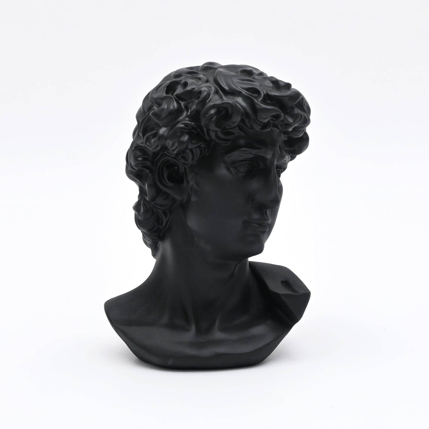 Black Monochrome Classical Bust Sculpture in Matte Resin