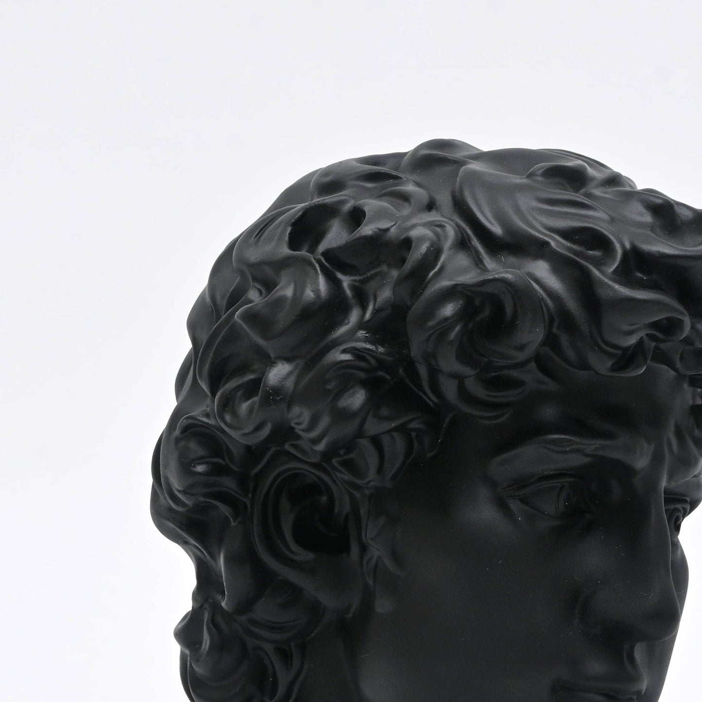 Black Monochrome Classical Bust Sculpture in Matte Resin
