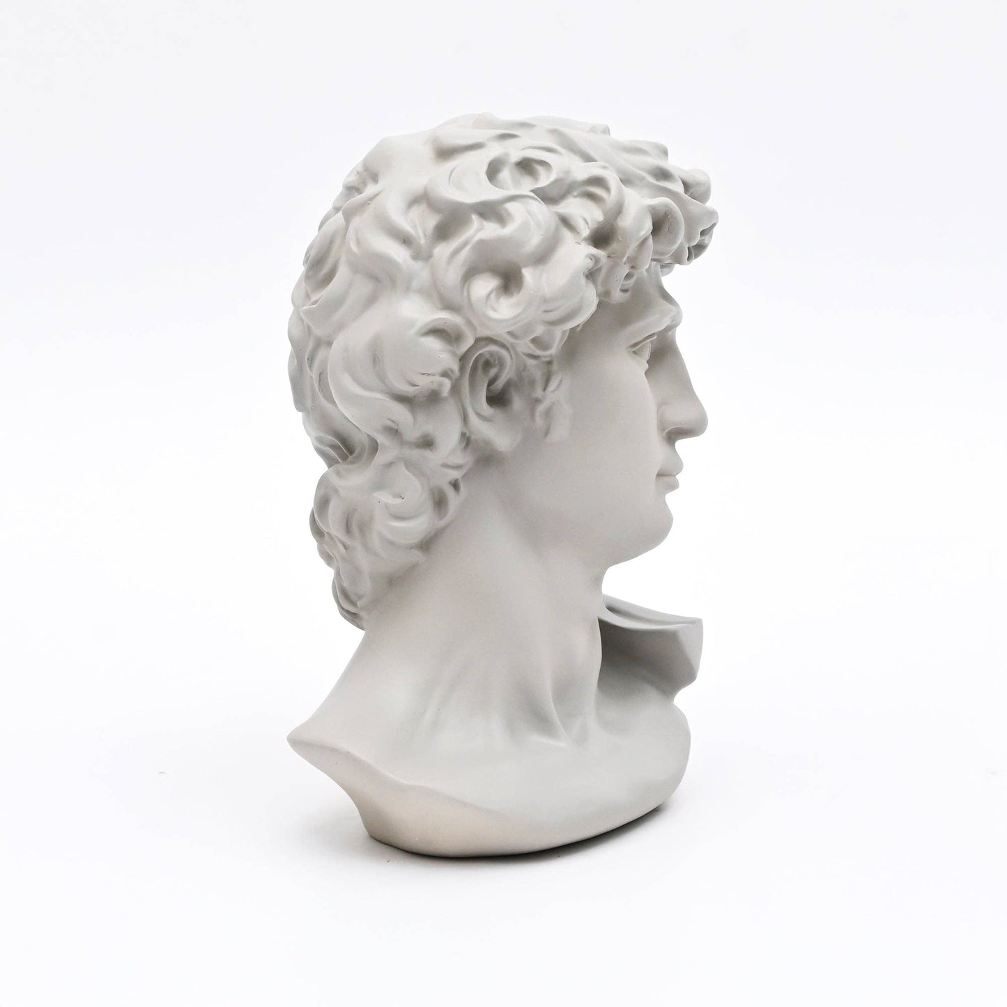 Grey Classical Greco-Roman Bust Sculpture in Matte Finish