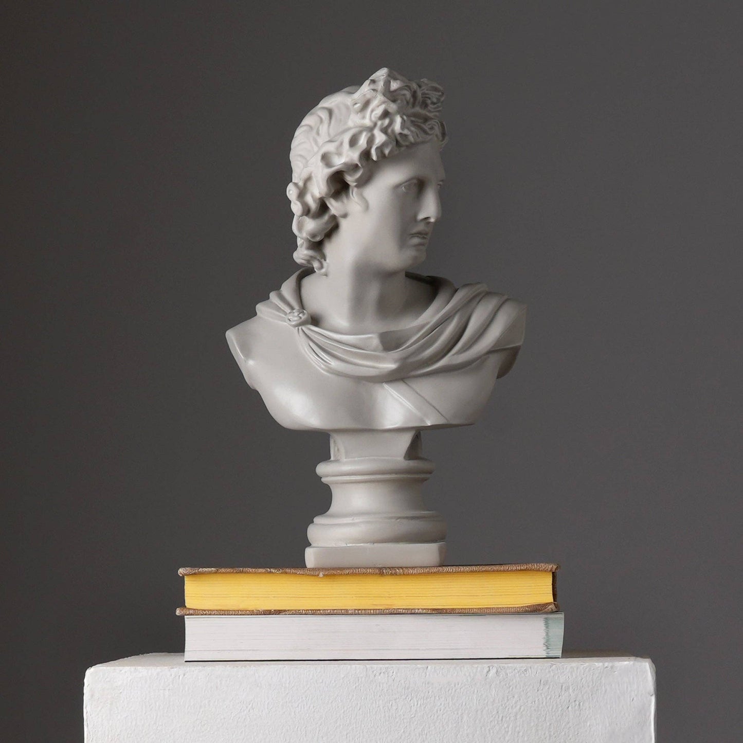 Grey Classical Greco-Roman Bust Sculpture, Matte Finish