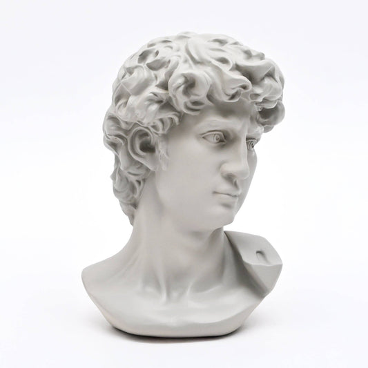 Grey Classical Greco-Roman Bust Sculpture in Matte Finish