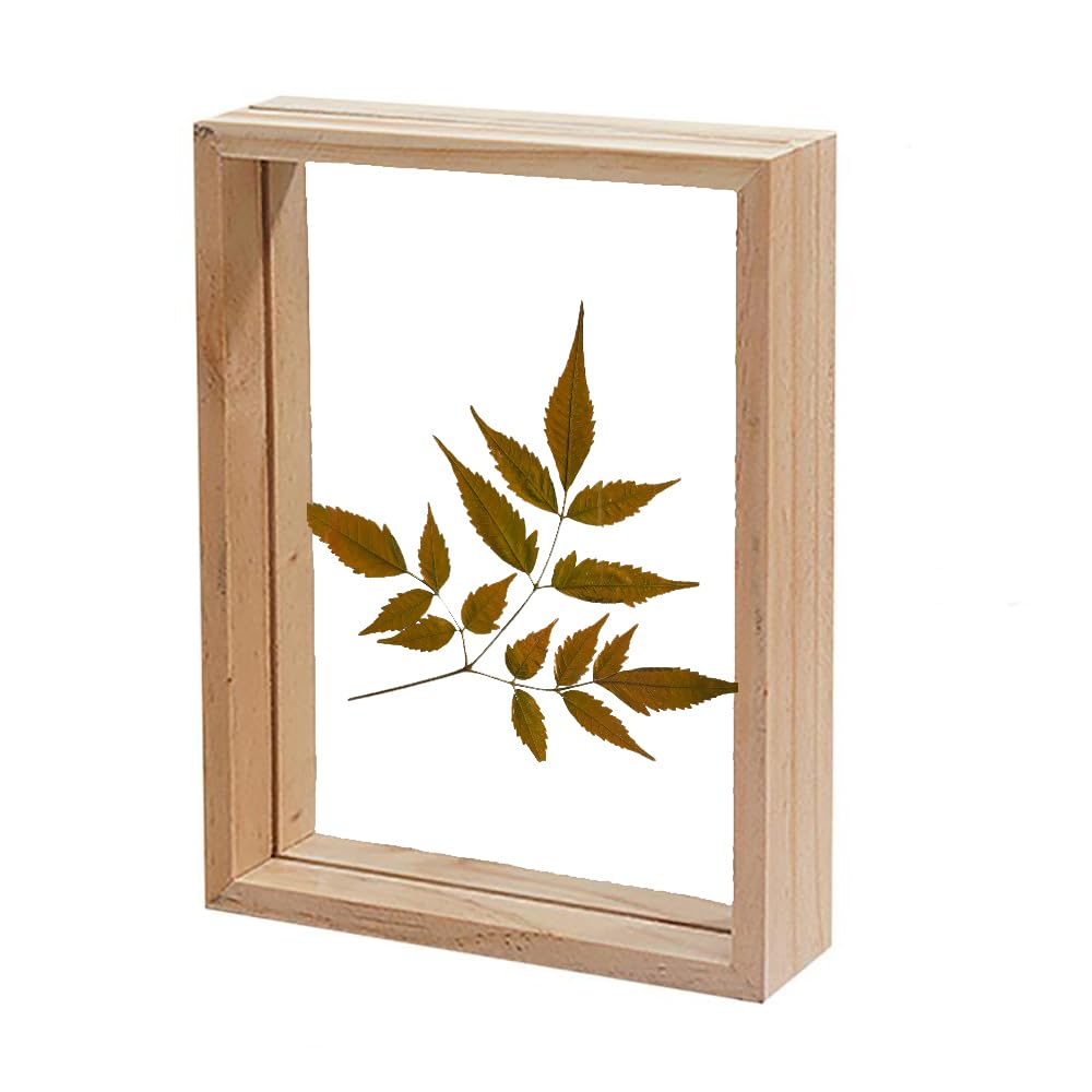 Rectangular Wooden Decor Frame – Pre-inserted Leaf – Natural Finish – 7.5x5.5 Inch