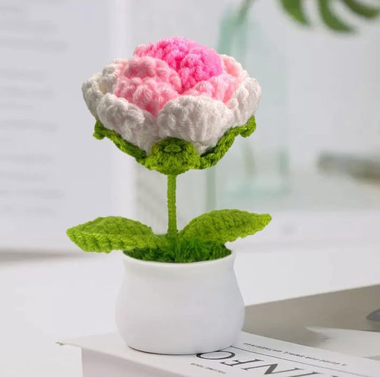 Potted Crochet Rose – Artificial Floral Display – Wool Yarn Crafted – Single Unit Desk Accent