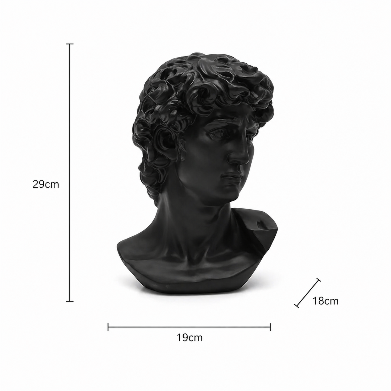Black Monochrome Classical Bust Sculpture in Matte Resin