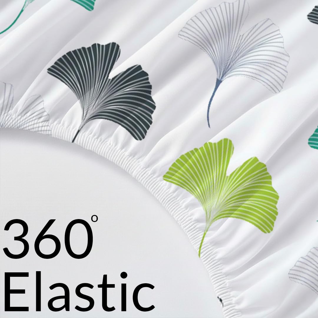 Bedsheet | Long-Staple Cotton Fitted | 78x72 Inch, 3-Piece