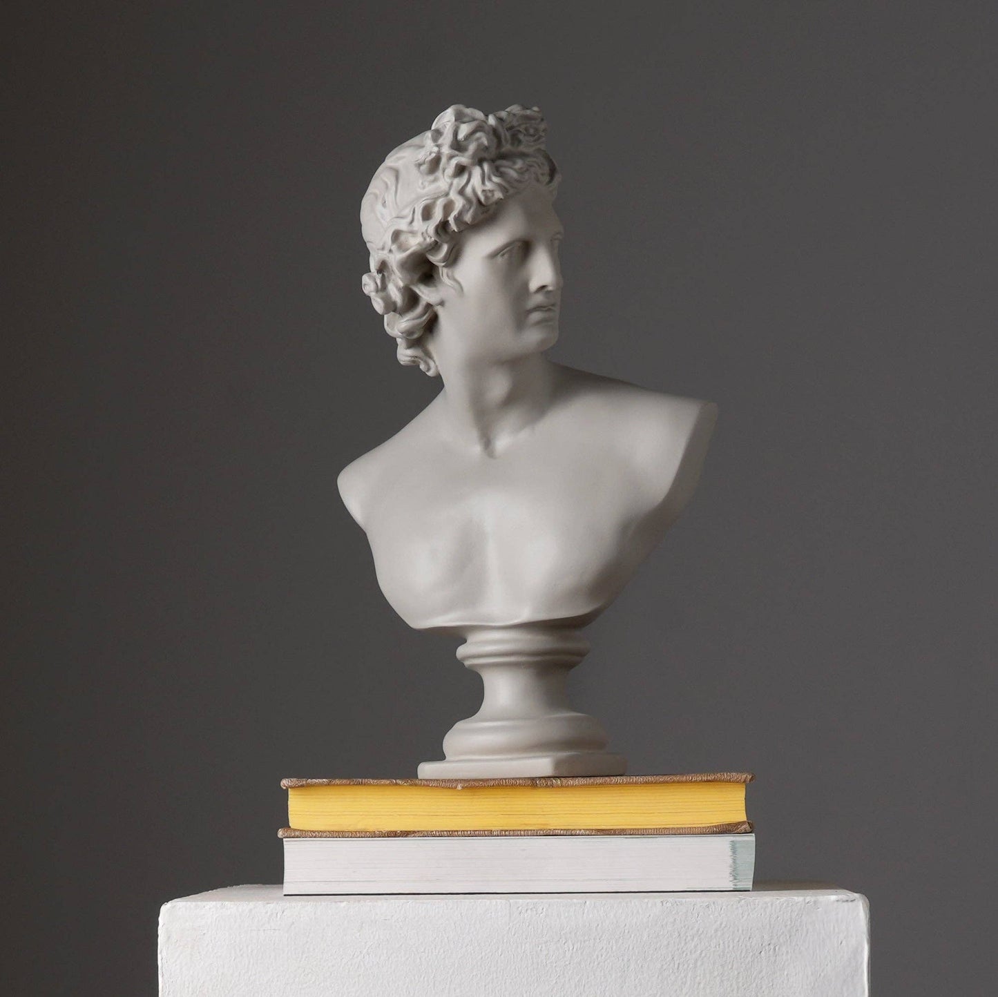 Grey Neo-Classical Bust Sculpture in Matte Resin