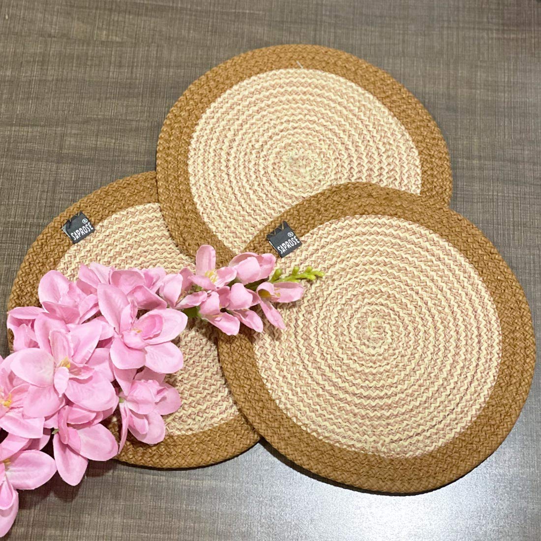 Round Braided PP Trivet (3 PCS, 9" Dia) | Machine Washable Pot Mat for Dining Table, Hot Pots & Casseroles