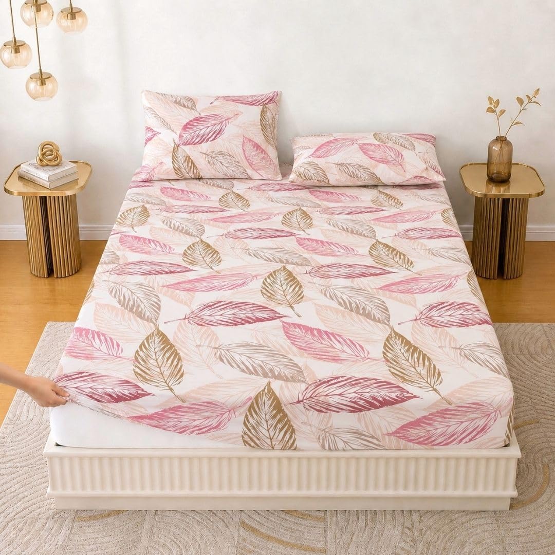 Bedsheet | 240TC Cotton Elastic Fitted | King, 72x78in, 3PC Set