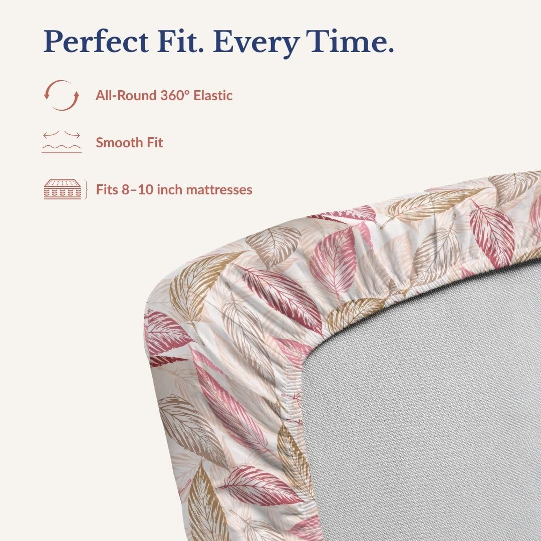 Bedsheet | 240TC Cotton Elastic Fitted | King, 72x78in, 3PC Set