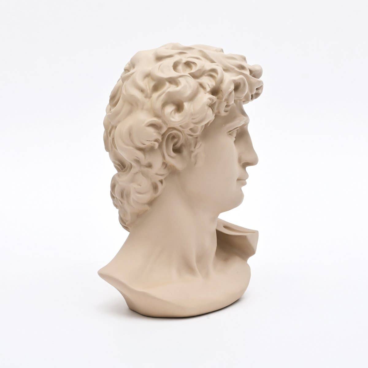 Beige Monochrome - Classical Bust Sculpture