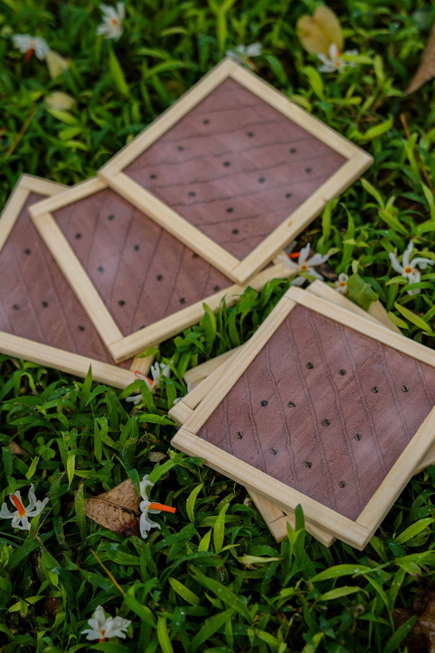 Plum Handwoven Coasters - Set of 2 pcs with Coaster Holder