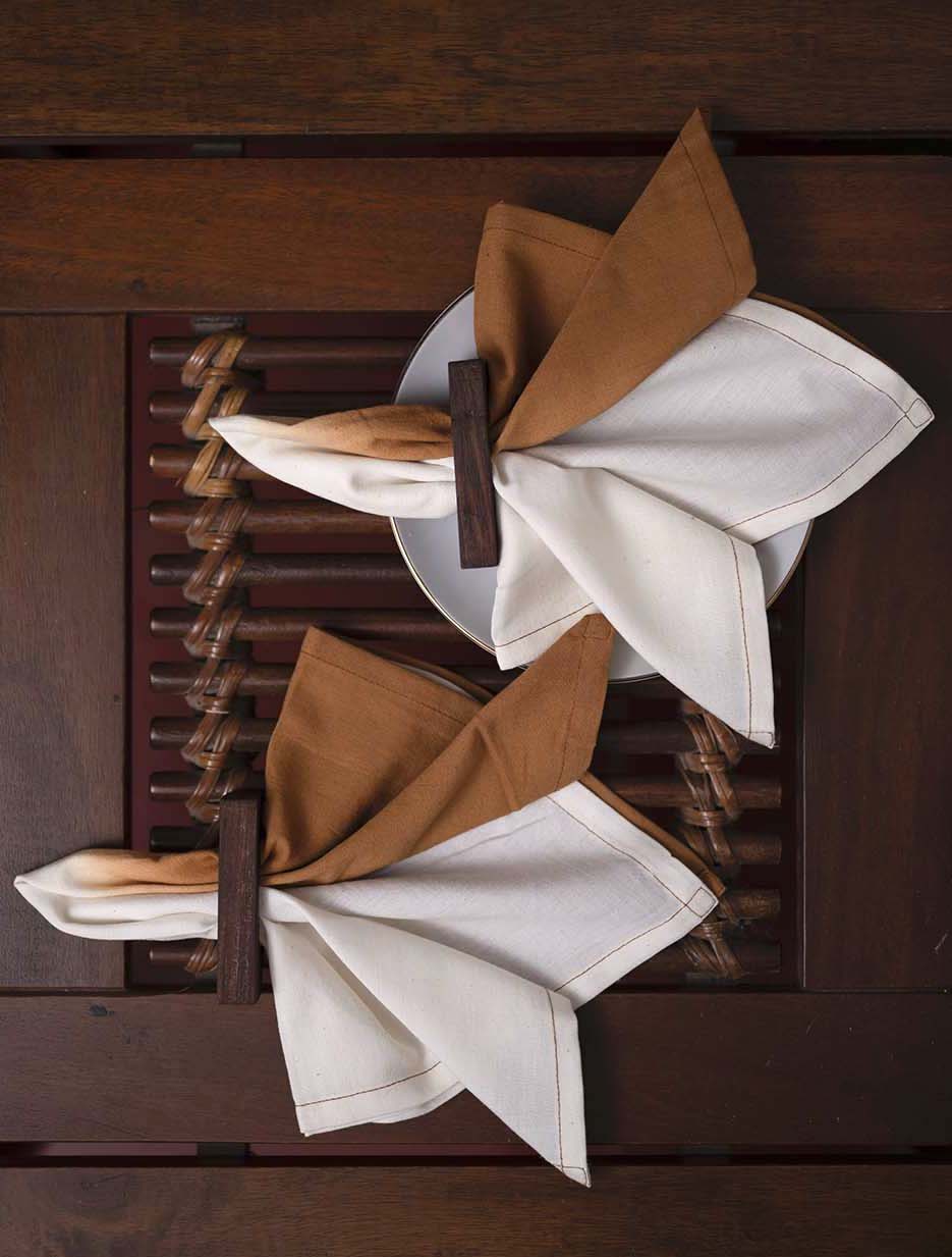 Alistar Handwoven Napkins  - Set of 2 pc