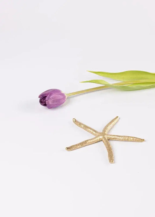 Decorative Brass Starfish