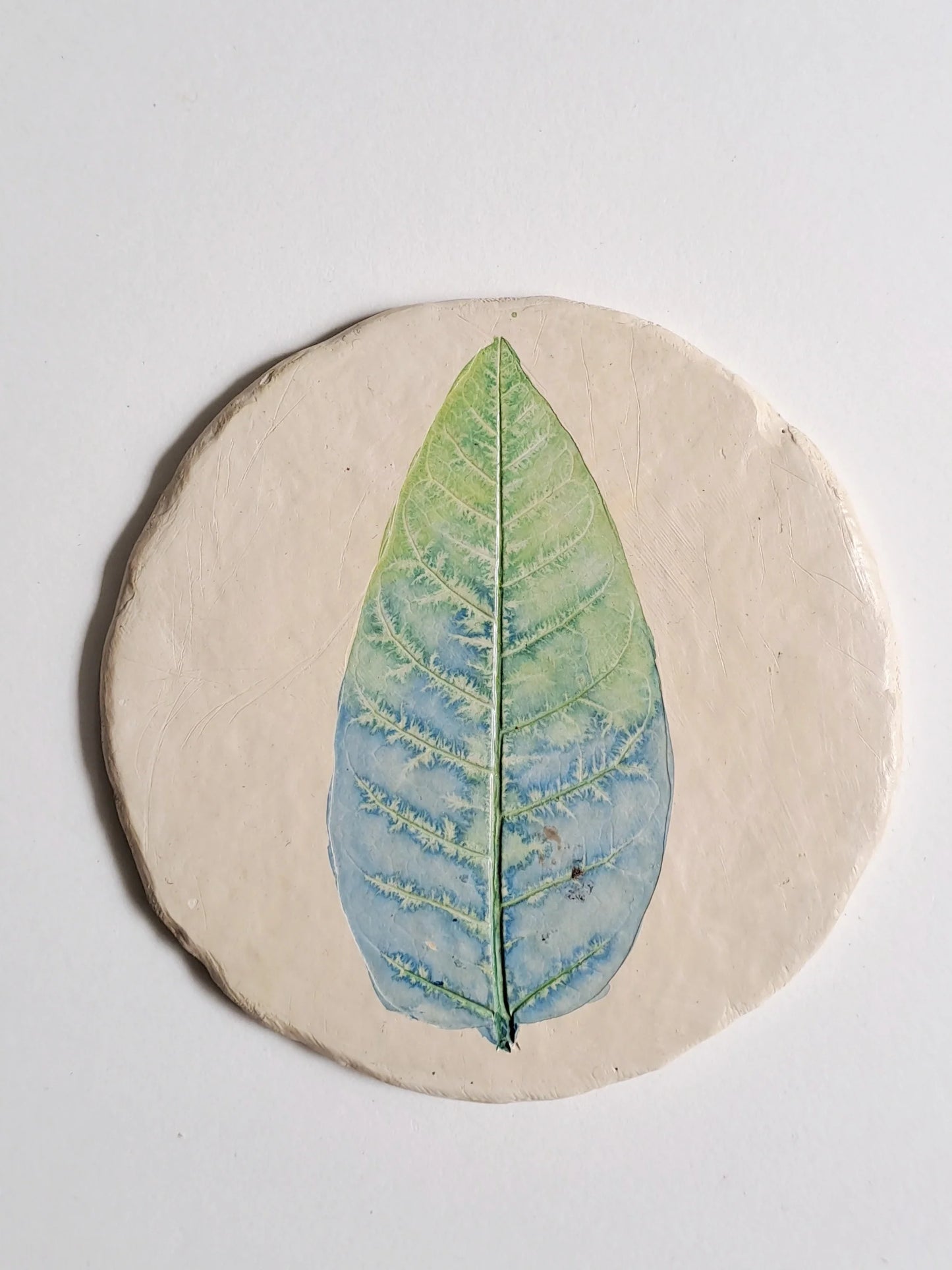 Set of 4 Coasters - Pilkhan