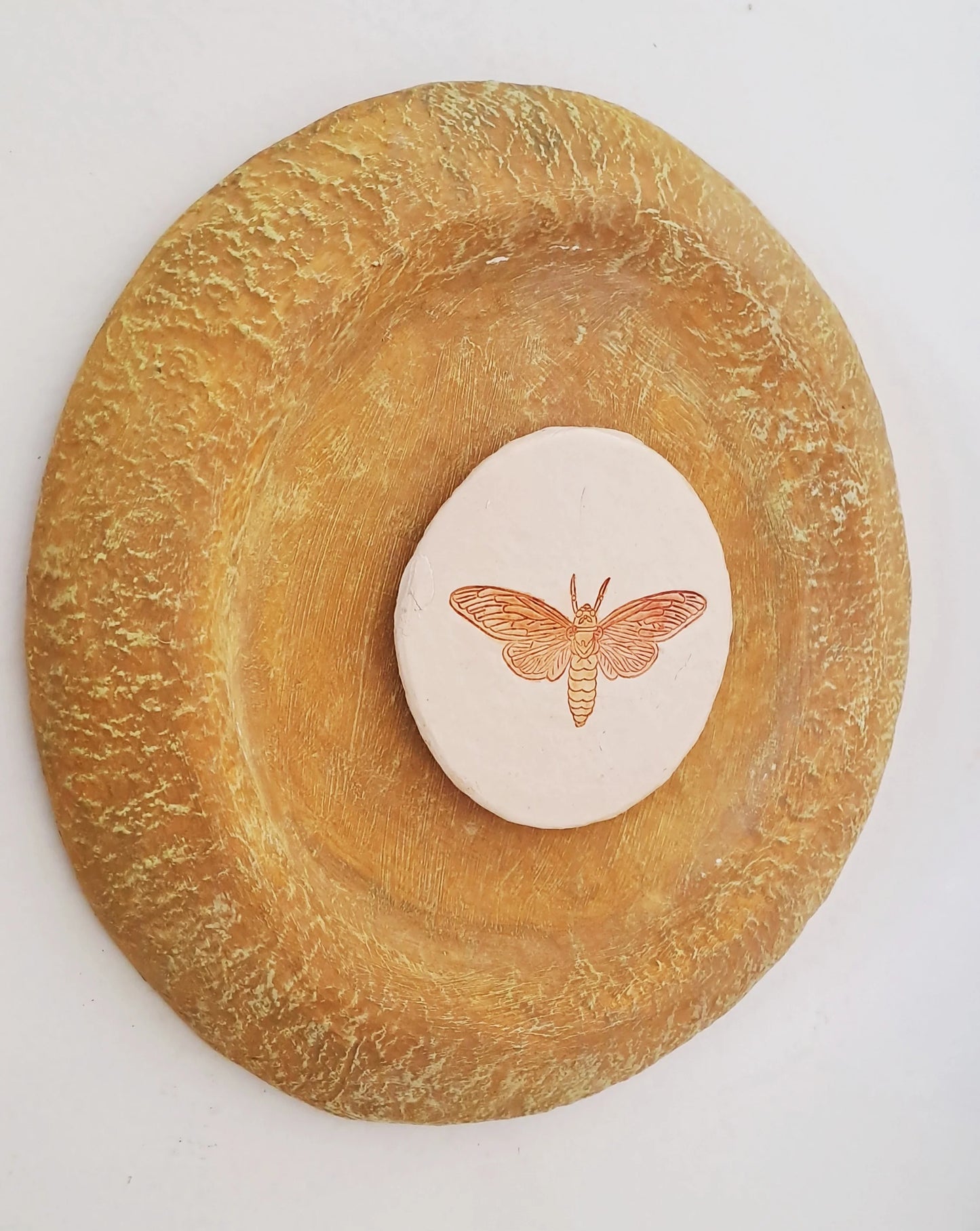 Papier-mache Wall Plates-Moth