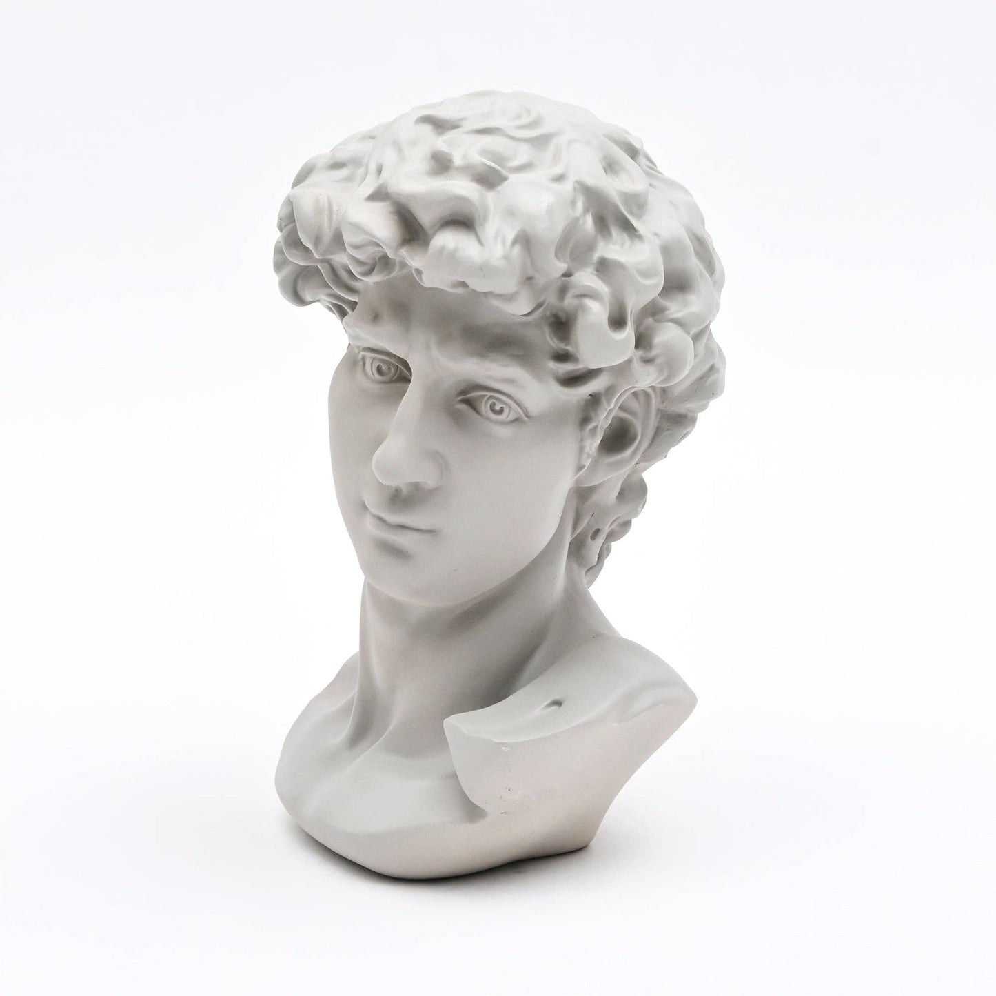 Grey Classical Greco-Roman Bust Sculpture in Matte Finish