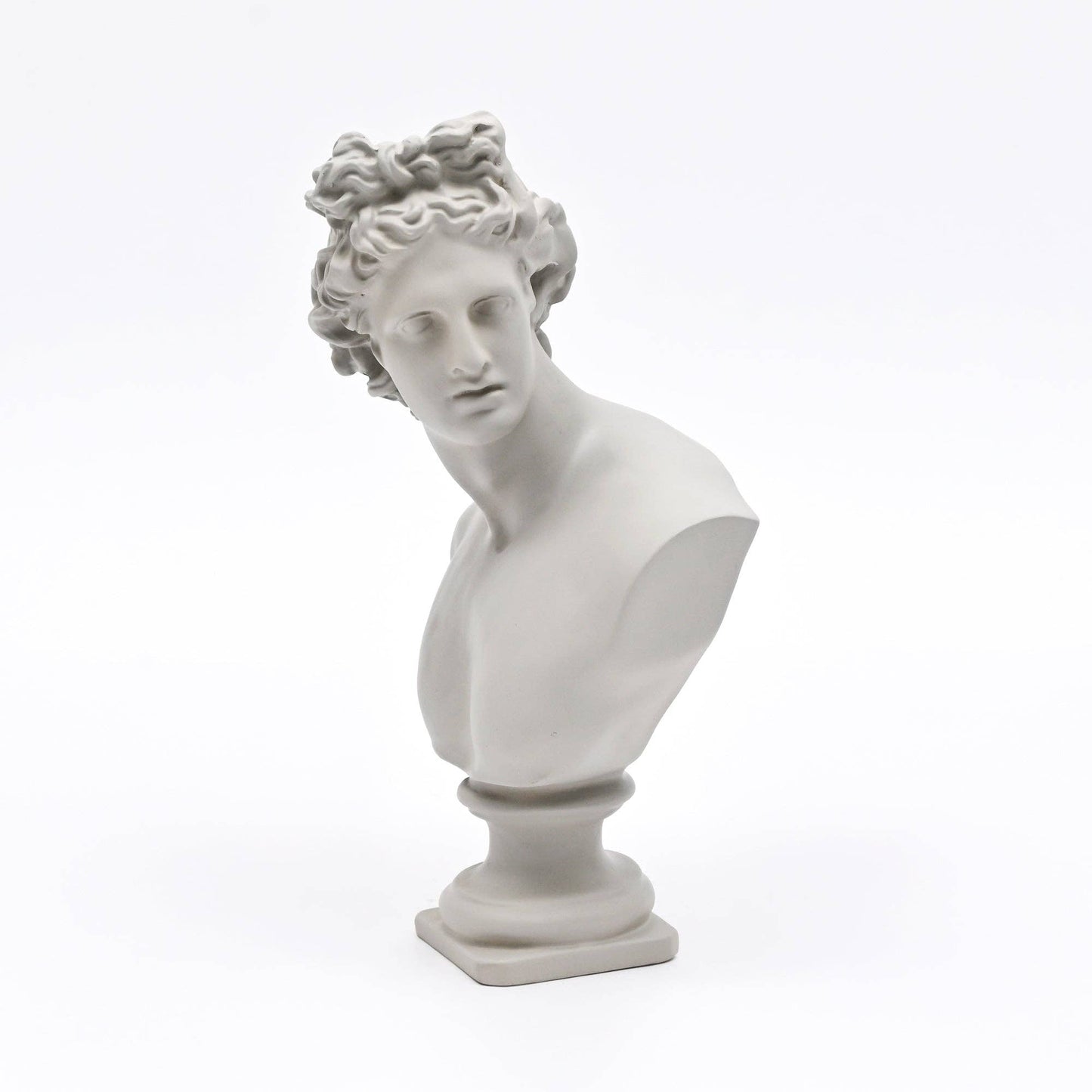 Grey Neo-Classical Bust Sculpture in Matte Resin