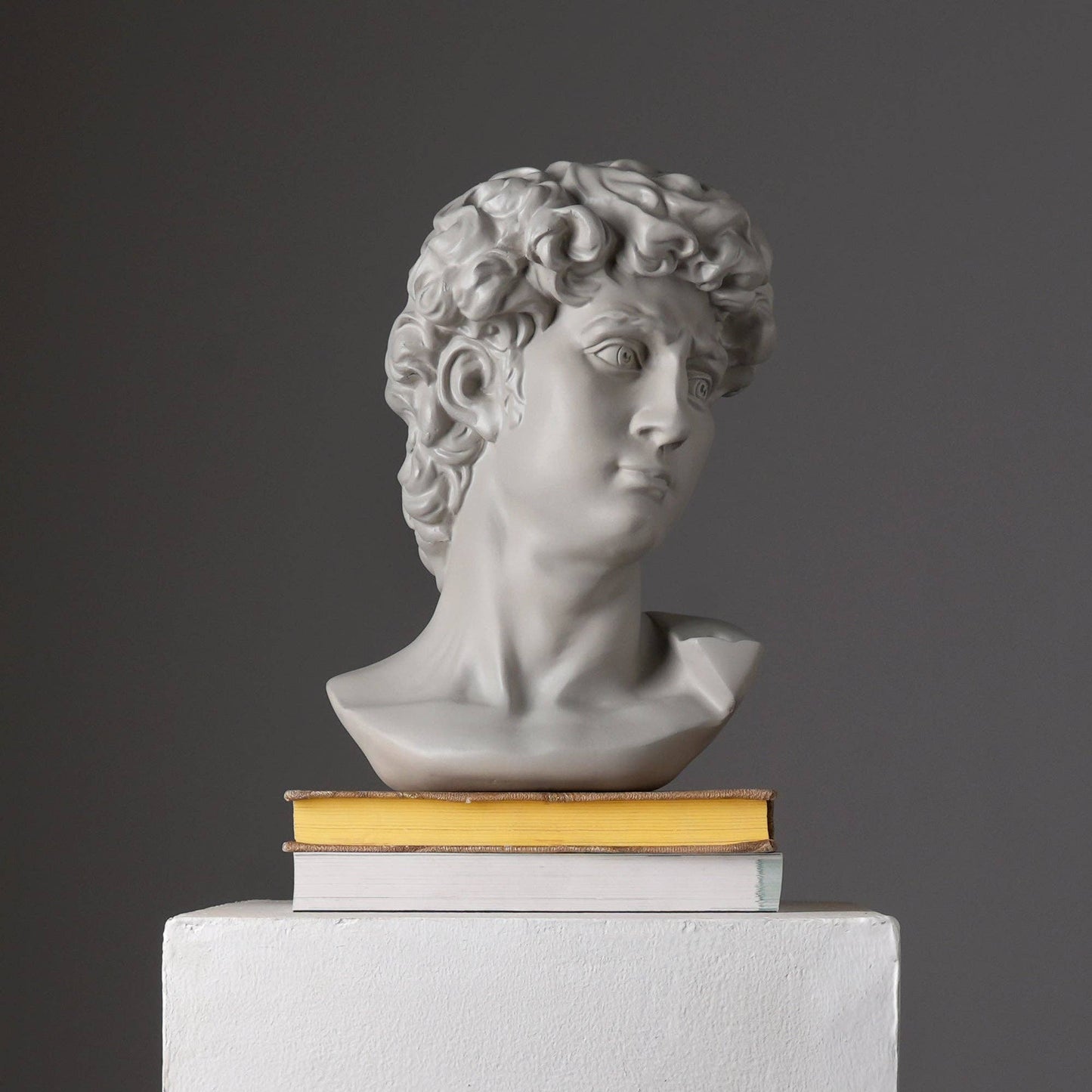 Grey Classical Greco-Roman Bust Sculpture in Matte Finish