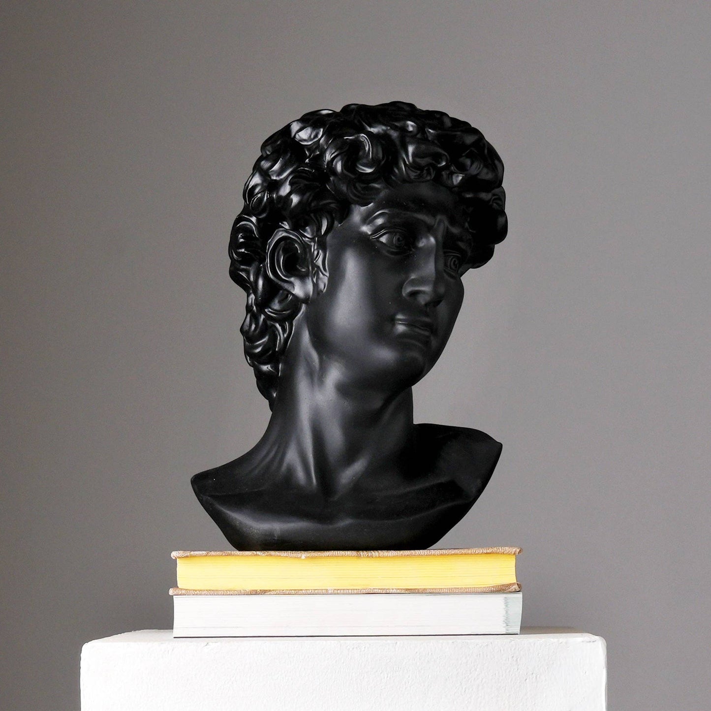 Black Monochrome Classical Bust Sculpture in Matte Resin