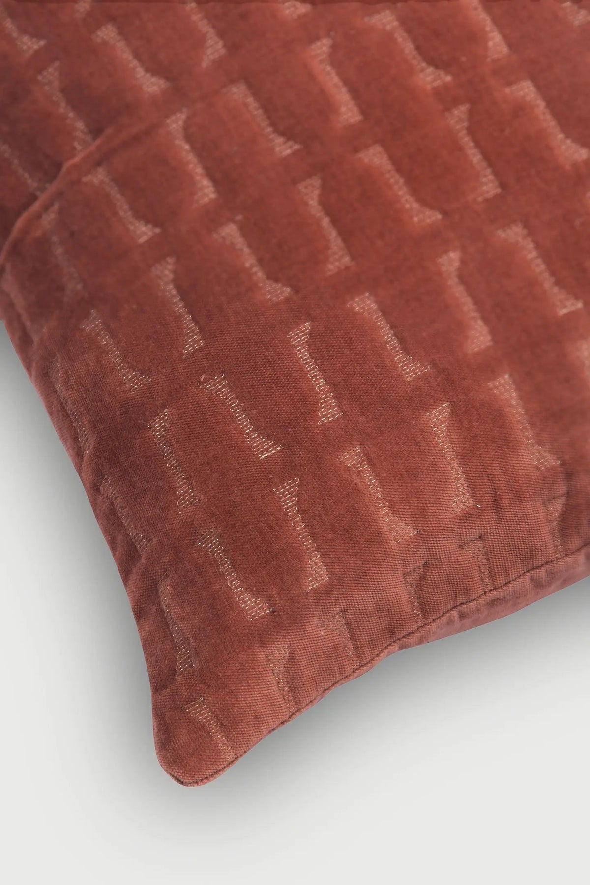Twig Rhubarb Embroidered Velvet Cushion Cover SanctuaryLiving